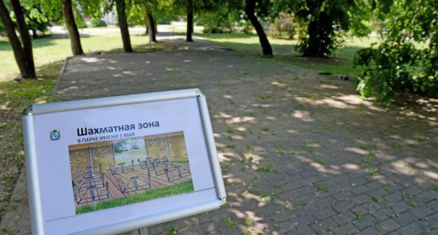 Шахматы станут факультативом в начальных классах школ Курской области