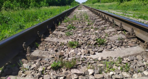 В Брянской области обнаружили повреждение железной дороги