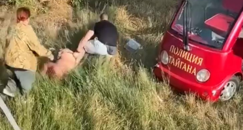 Львы напали на владельца крымского зоопарка "Тайган"