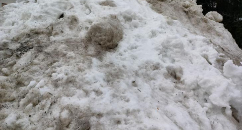 Мэрия Курска заплатит 174 тысячи за снежные кучи, отравившие почву во 2-м Шоссейном