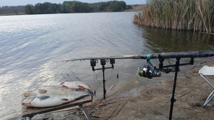 В Курской области запретили рыбалку на нерест до начала июня